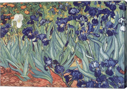 Irises, Saint-Remy, c.1889 by Vincent Van Gogh