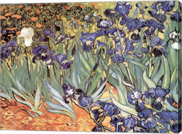 Irises in the Garden, Saint-Remy, c.1889 by Vincent Van Gogh