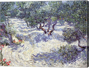 Olive Orchard by Vincent Van Gogh