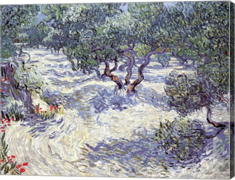 Olive Orchard by Vincent Van Gogh