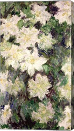 White Clematis, 1887 by Claude Monet