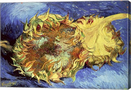 Sunflowers, 1887 by Vincent Van Gogh