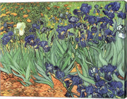 Irises, 1889 by Vincent Van Gogh