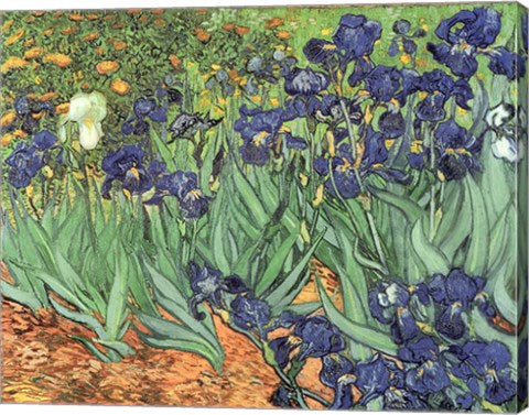 Irises, 1889 by Vincent Van Gogh