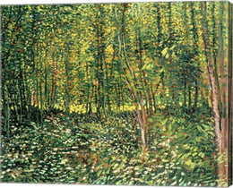 Trees and Undergrowth, 1887 by Vincent Van Gogh