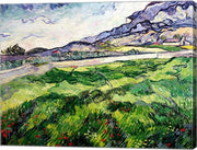 The Green Wheatfield behind the Asylum, 1889 by Vincent Van Gogh