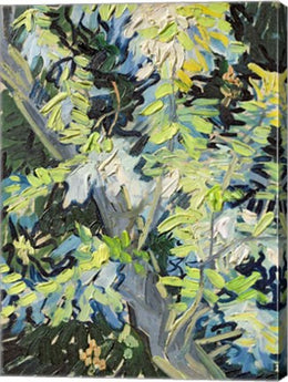 Acacia in Flowe by Vincent Van Gogh