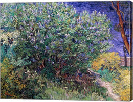 Lilac Bush, 1889 by Vincent Van Gogh