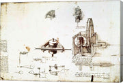 A Fin Spindle by Leonardo Da Vinci