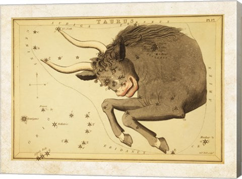 Taurus Zodiac Sign
