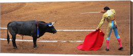 Bull and Matador Stand Off