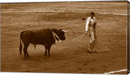 Matador and Bull