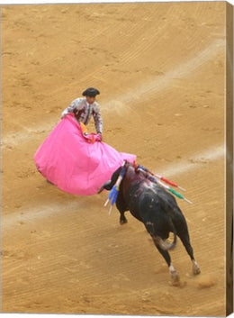 Matador Bullfight