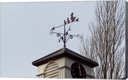 Weathervane on Damerham Village Hall