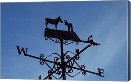 Donkey Lovers Weathervane