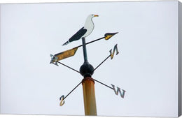 Seagull Weathervane