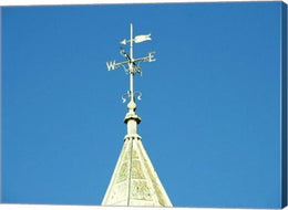 Weathervane, Newcastle
