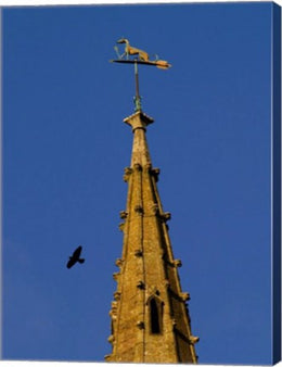 Weathervane on Hanslope Church