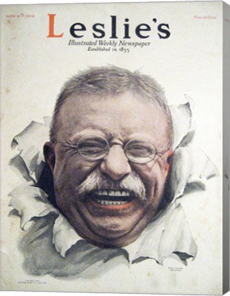 Leslies Illustrated Weekly Newspaper Nov. 1916 Teddy Roosevelt
