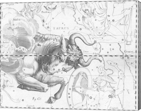 Taurus by Johannes Hevelius