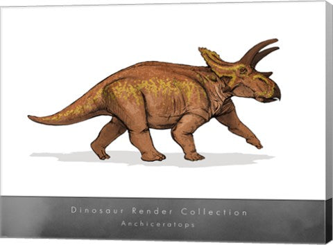 Anchiceratops