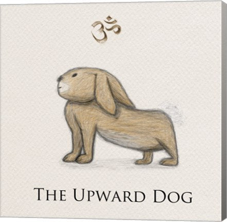 Bunny Yoga,  Upward Dog Pose