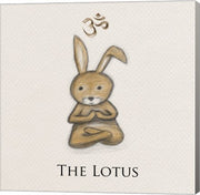 Bunny Yoga, The Lotus Pose