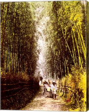 Bamboo Path