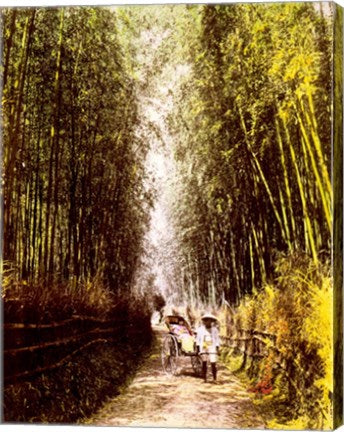 Bamboo Path