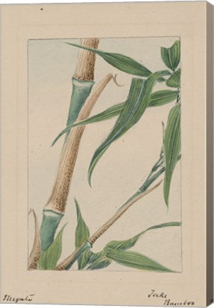 Bamboo Tree Detail
