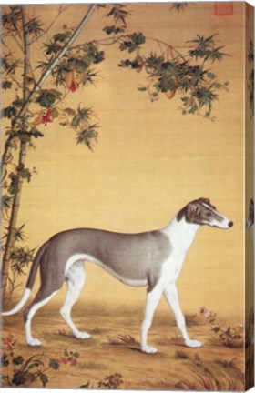 Framed Art Greyhound by Bamboo Wall Decor 18x24 Artwork