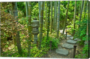 Hasedera-Bamboo Grove
