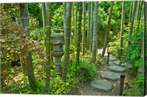 Hasedera-Bamboo Grove