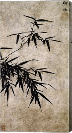 Xia Chang- Ink Bamboo