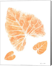 Elephant by Rob Sturcke