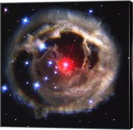 Light Echo Around V838 Monocerotis