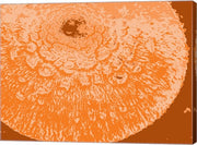 Orange Abstract by George Dilorenzo