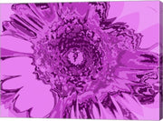 Pink Abstract Flower by George Dilorenzo