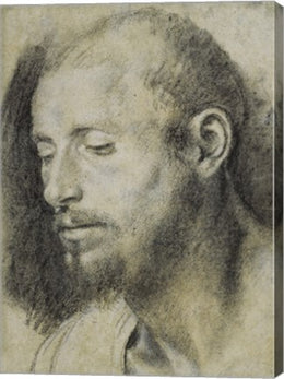 Study of the Head of a Bearded Man by Giovanni Girolamo Savoldo