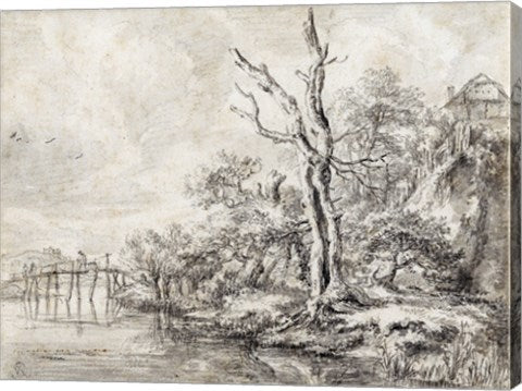 Dead Tree by a Stream at the Foot of a Hill by Jacob Van Ruisdael
