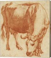 A Cow Grazing by Adriaen van de Velde