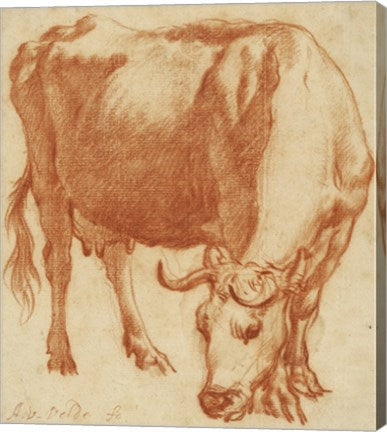 A Cow Grazing by Adriaen van de Velde