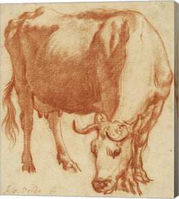 A Cow Grazing by Adriaen van de Velde