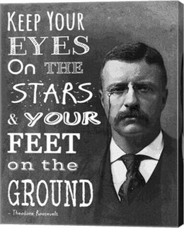 Keep Your Eyes On the Stars and Your Feet On the Ground - Theodore Roosevelt by Veruca Salt