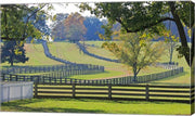 Stacked Split-Rail Fences in Appomattox, Virginia