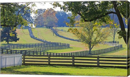 Stacked Split-Rail Fences in Appomattox, Virginia