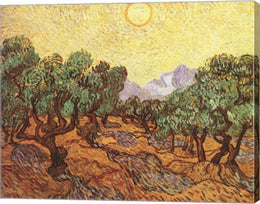The Olive Trees, c.1889 by Vincent Van Gogh
