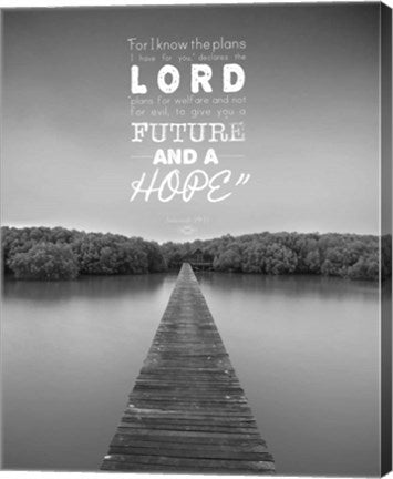 Jeremiah 29:11 For I know the Plans I have for You (Lake House Black & White) by Inspire Me