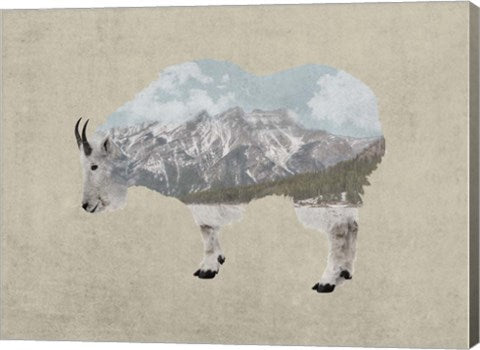 Rocky Mountain Goat by Color Me Happy