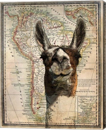 South America Llama Map by Take Me Away